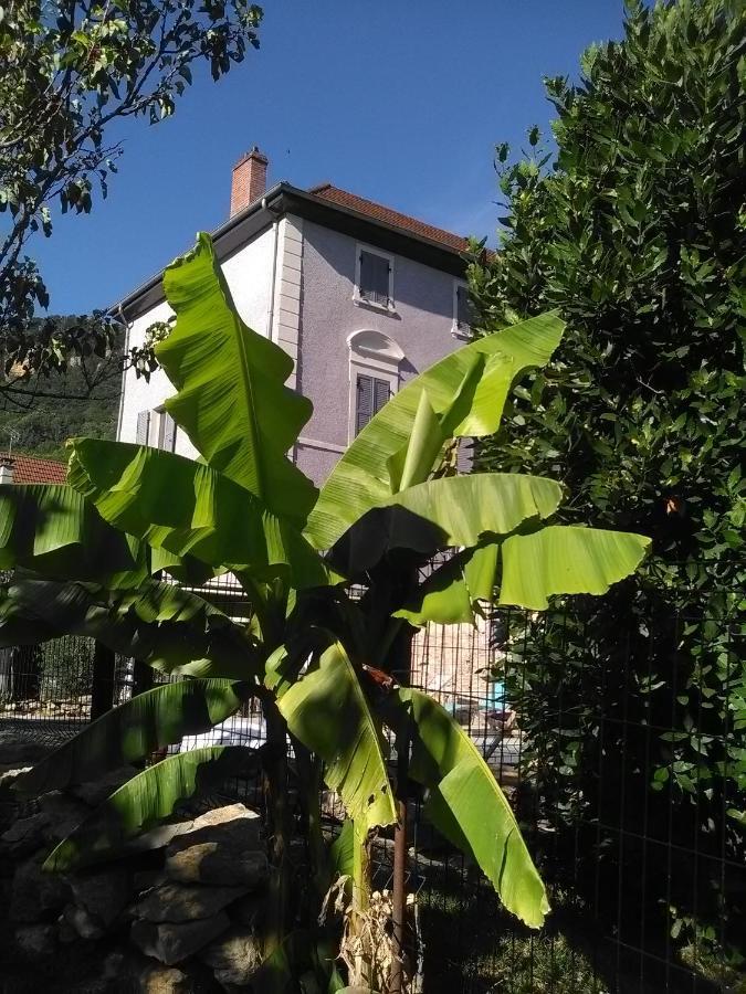 A Deux Pas Du Rheby Hotel Villebois Bagian luar foto